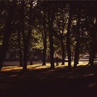 IndigoPavilion